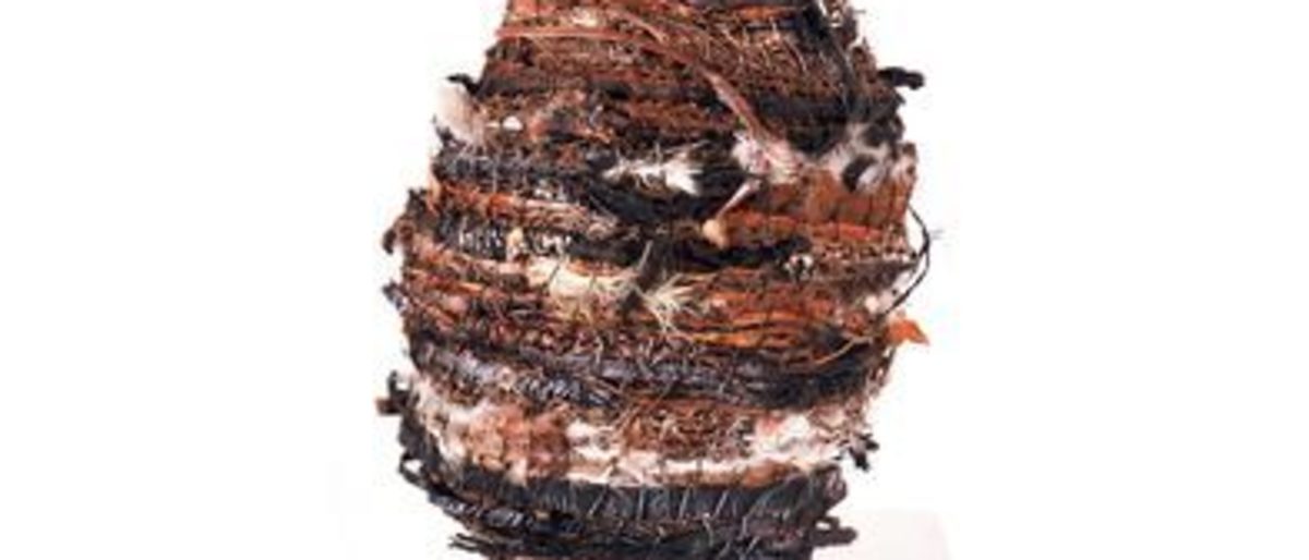 "Too Hard Basket"; Autoreifen, Federn, Pflanzenstoffe, Leinenfaden, geflochten; 35 x 25 x 15 cm "Too Hard Basket"; Autoreifen, Federn, Pflanzenstoffe, Leinenfaden, geflochten; 35 x 25 x 15 cm