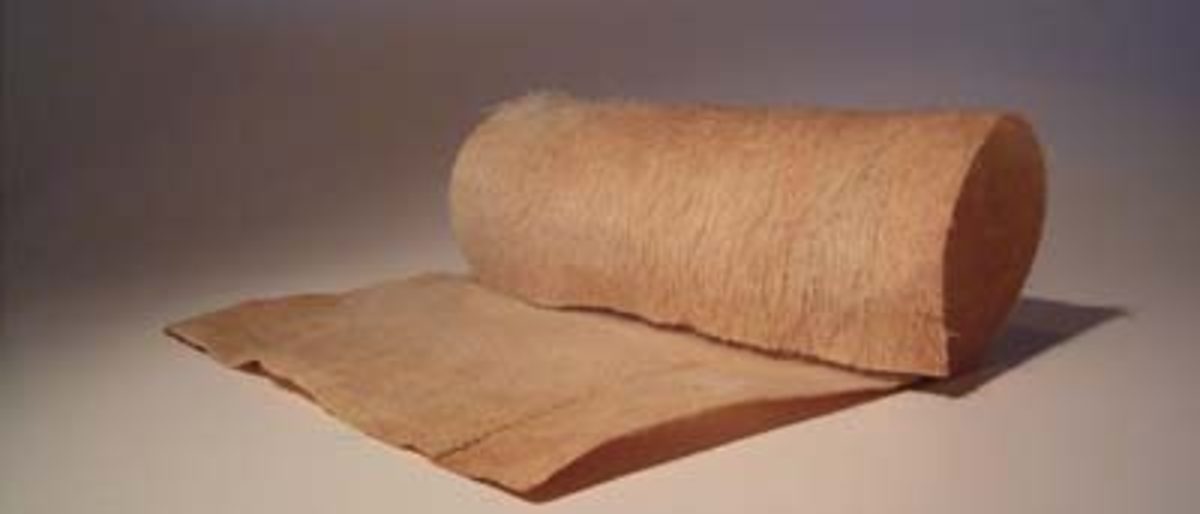 "Kiwi"; Rindentuch, gebleicht, bearbeitet; 17 x 33 cm "Kiwi"; Rindentuch, gebleicht, bearbeitet; 17 x 33 cm