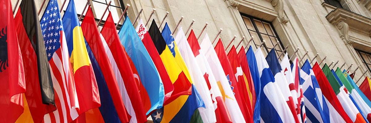 fahne, fahnen, flagge, flaggen, viele, bunt, symbol, zeichen, landesflaggen, landesfahnen, banner, nationalflaggen, hängeflagge, hängeflaggen, oecd, tagung, organisation für wirtschaftliche, organisation, international, belgien, dänemark, deutschland, frankreich, griechenland, irland, island, italien, kanada, luxemburg, niederlande, norwegen, österreich, portugal, schweden, spanien, schweiz, türkei, vereinigte staaten, vereinigtes königreich, haus, gebude, japan, finnland, australien, slowakei, polen, ungarn, hängend, 44785901