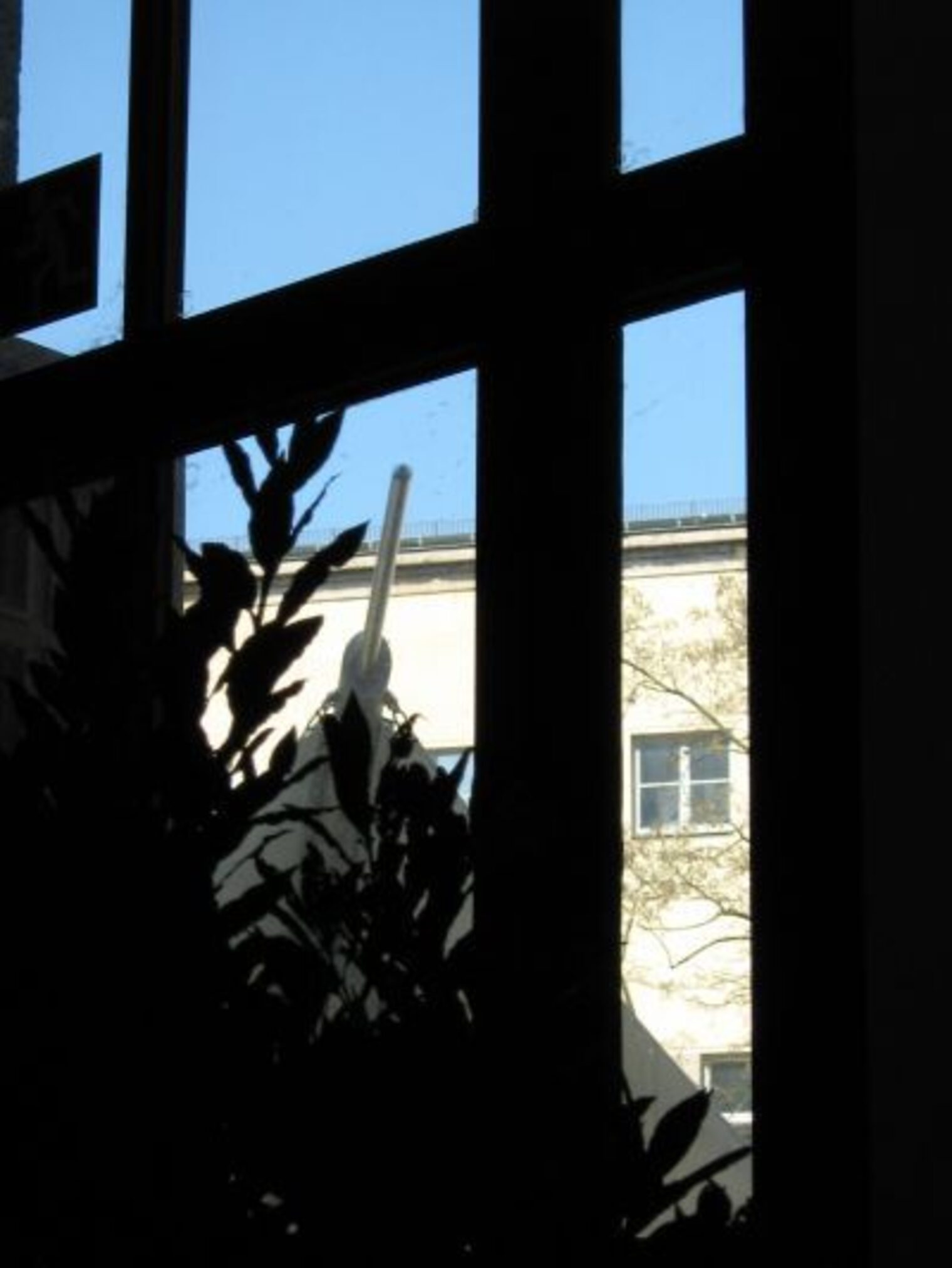 Aktionszelt_Dm_4May06_025