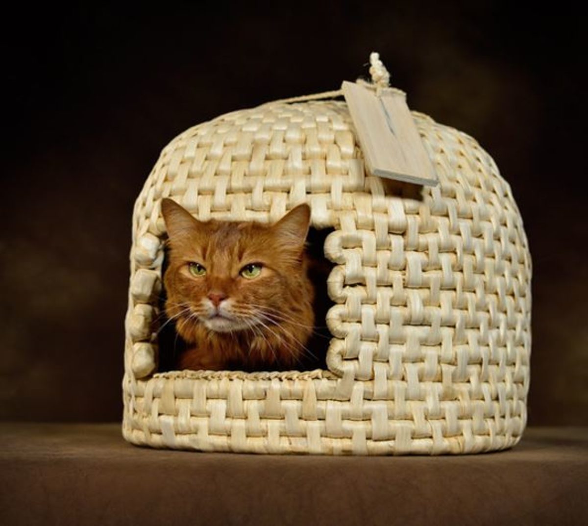 Termin Foto zur Ausstellung Katz - Maus - Haus, Galerie Handwerk 2019
