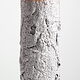 Irina Razumovskaya, "Barkskin" (Rindenhaut)