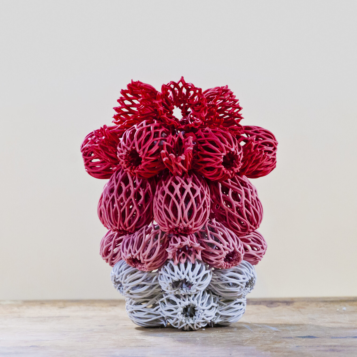 Monika Martykánová, ¿3DIY¿