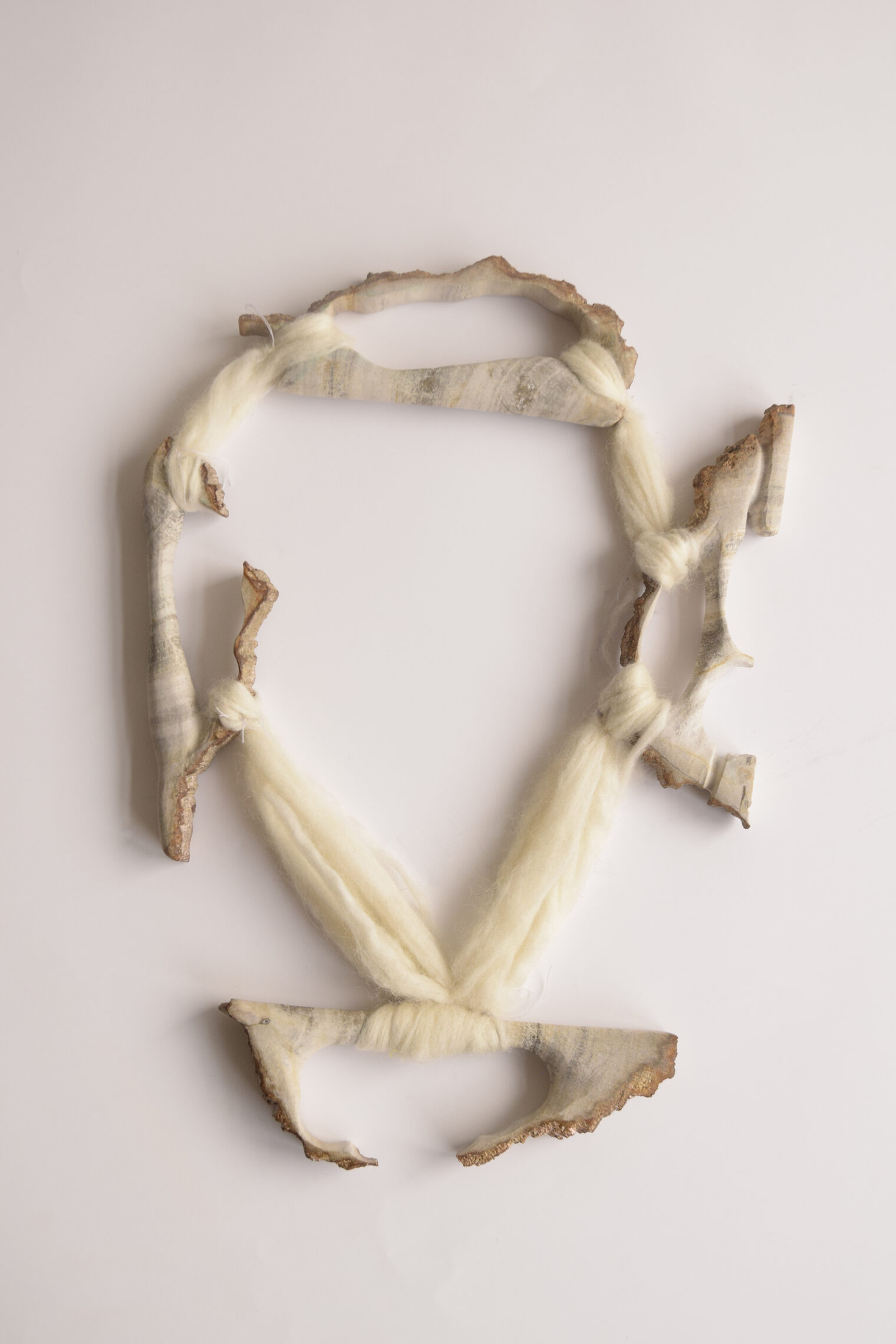 Satareh Shojaeedanaloo, IR/DE