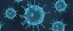 Corona Virus