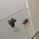 Galerie Handwerk Schmuck 13