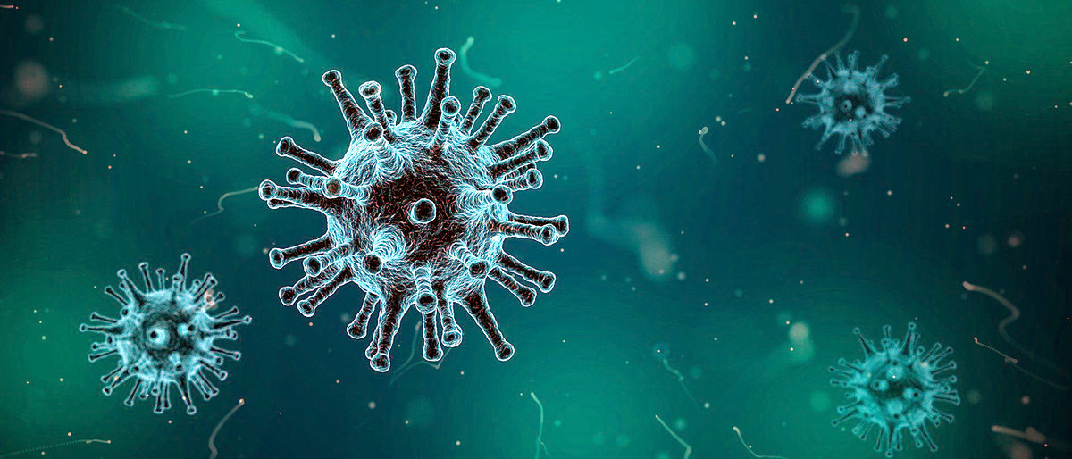 Corona Covid Virus