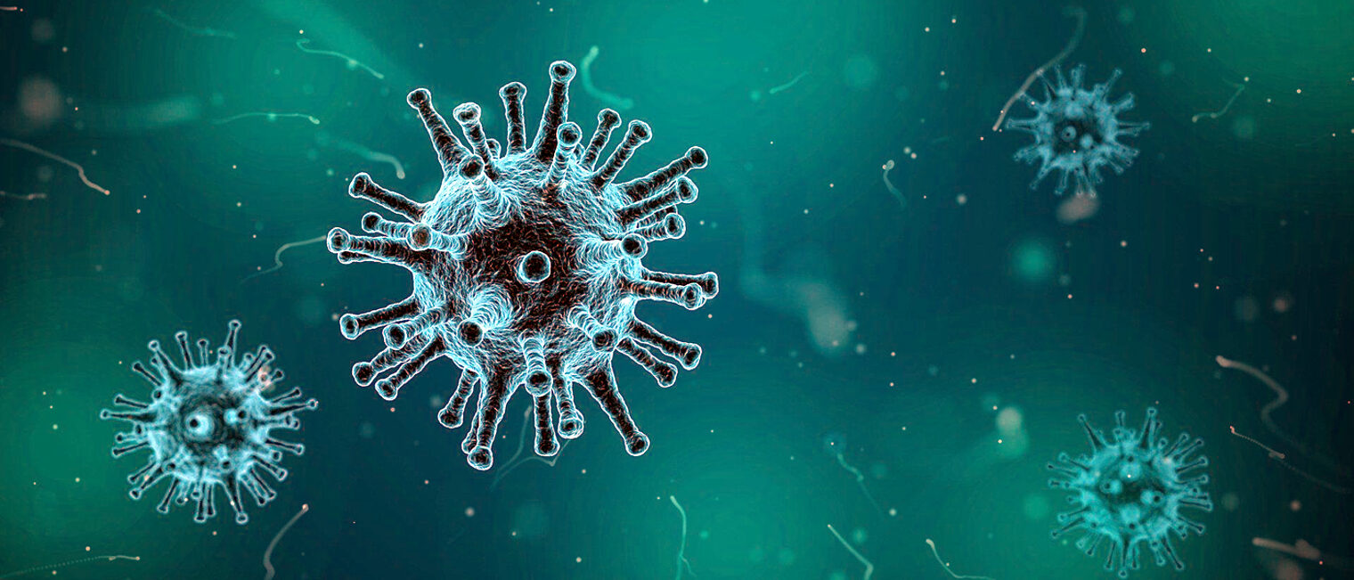 Corona Covid Virus