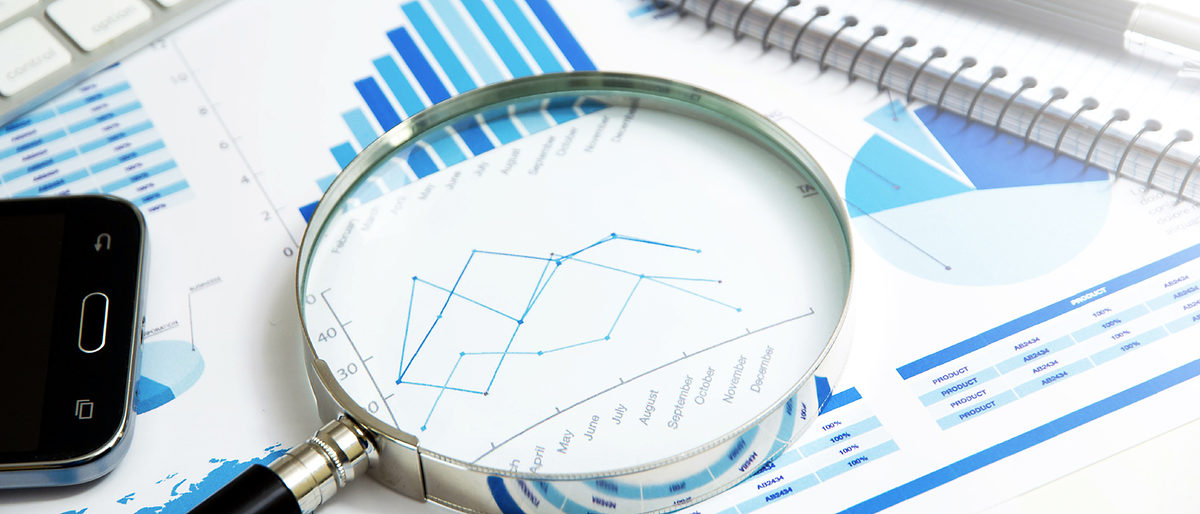 lente di ingrandimento, analisi, analizzare, approfondimento, controllo, verifica, controllare, economia, finanza, economica, economico, business, azioni, sondaggio, statistiche, bilancio, crescita, dati, fiscale, infografica, investimenti, profitto, spese, statistica, tendenze, guadagno, azienda, perdite, grafici, informatica, affari, informazioni, guadagni, istogrammi, web, internet