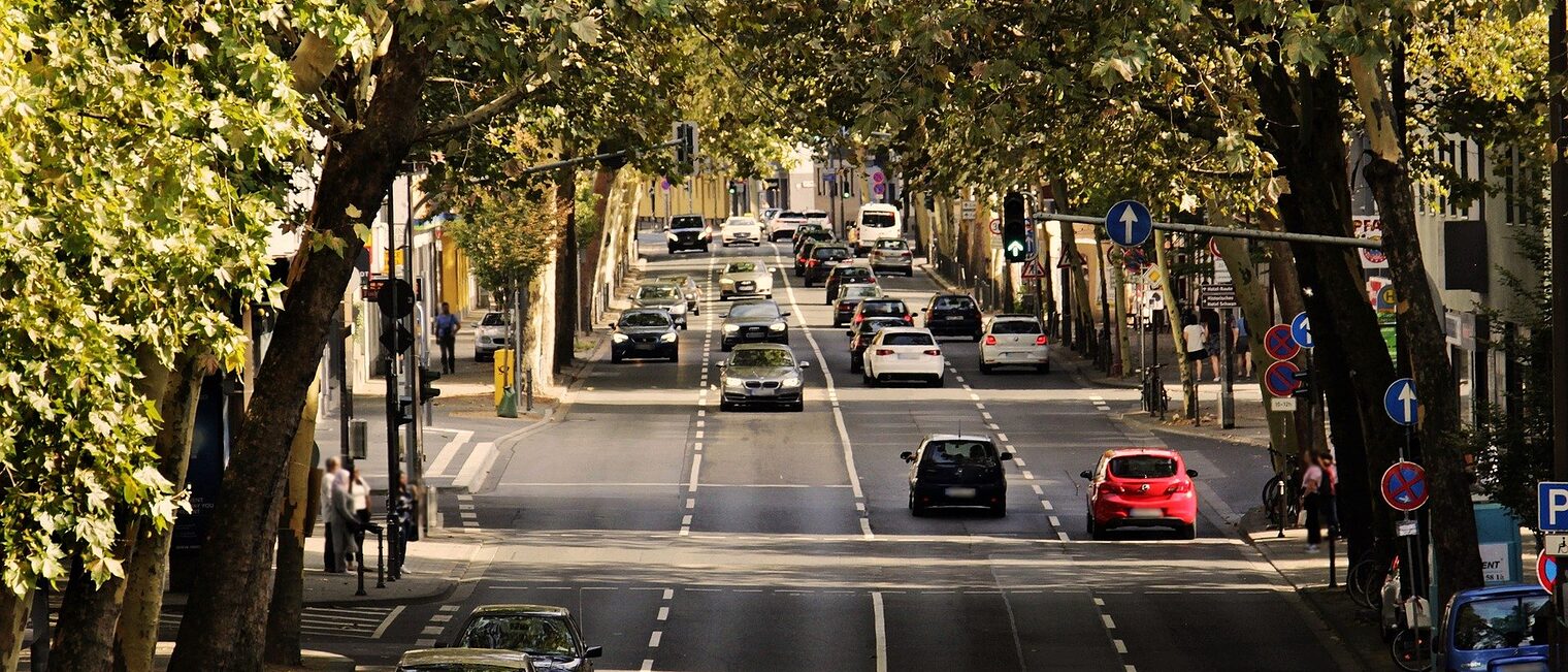 Verkehr, Straße, Auto, Baum